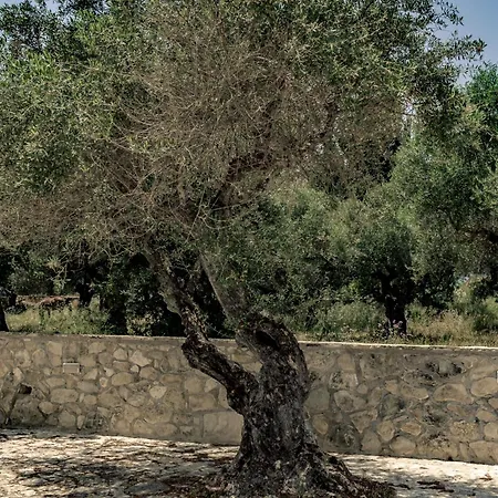 Charming In Agrilia With Private Pool Βίλα